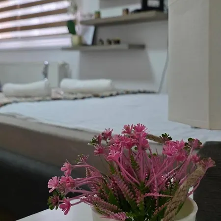 Old Town Cute - Completely Renovated December 2025 *