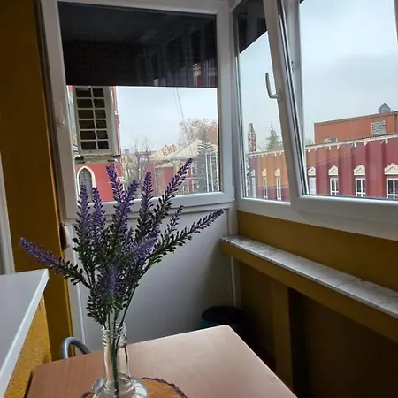 Old Town Cute - Completely Renovated December 2025