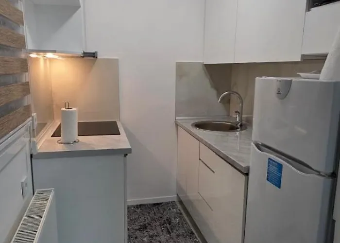 Old Town Cute - Completely Renovated December 2025 Appartement *