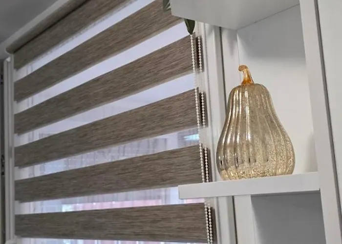 Old Town Cute - Completely Renovated December 2025