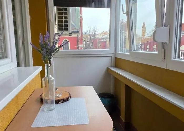 Old Town Cute - Completely Renovated December 2025