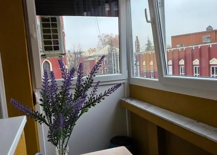 Old Town Cute - Completely Renovated December 2025